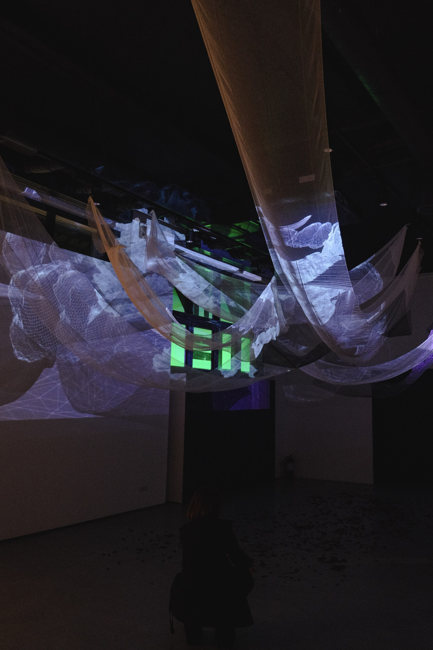 Featured image for “206-DSCF5248”