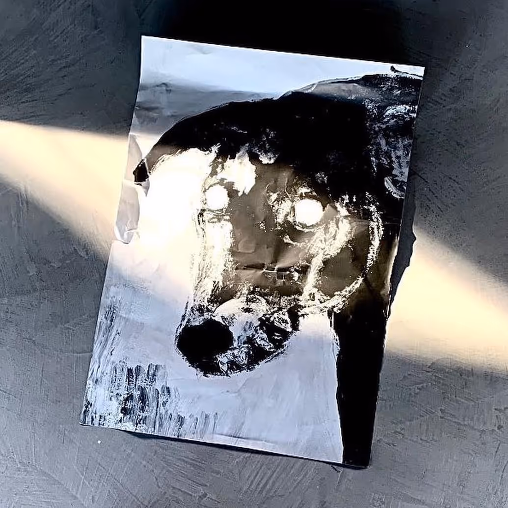 Featured image for “473592227_1026476562571790_6664050363434591422_n”