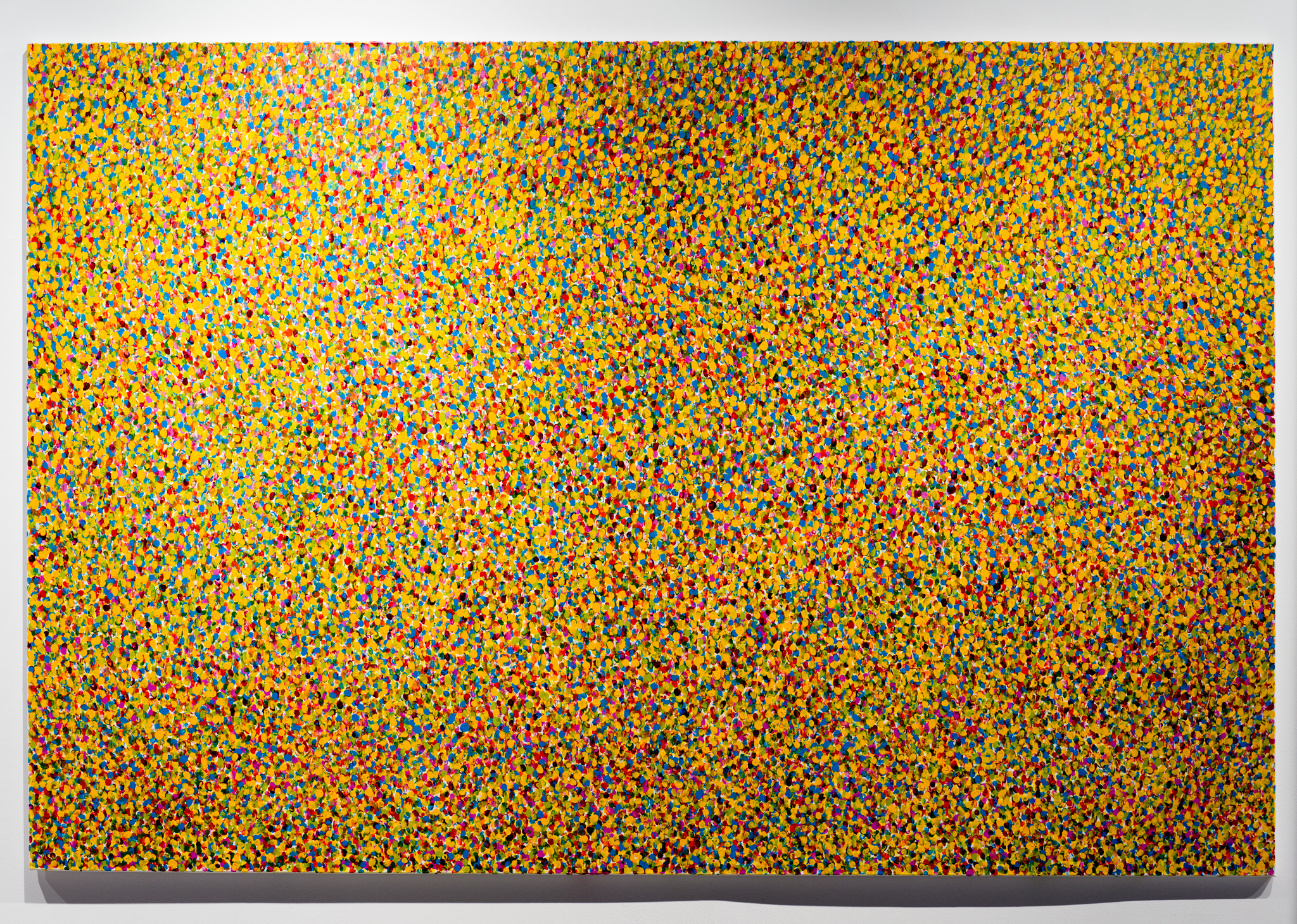 Featured image for “B0216616”