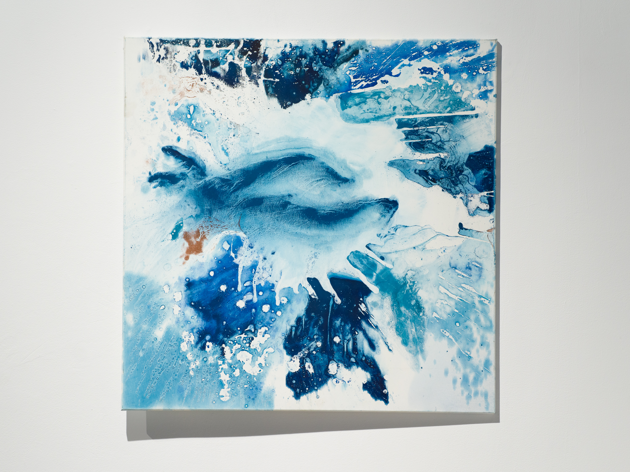 Featured image for “B0216631”