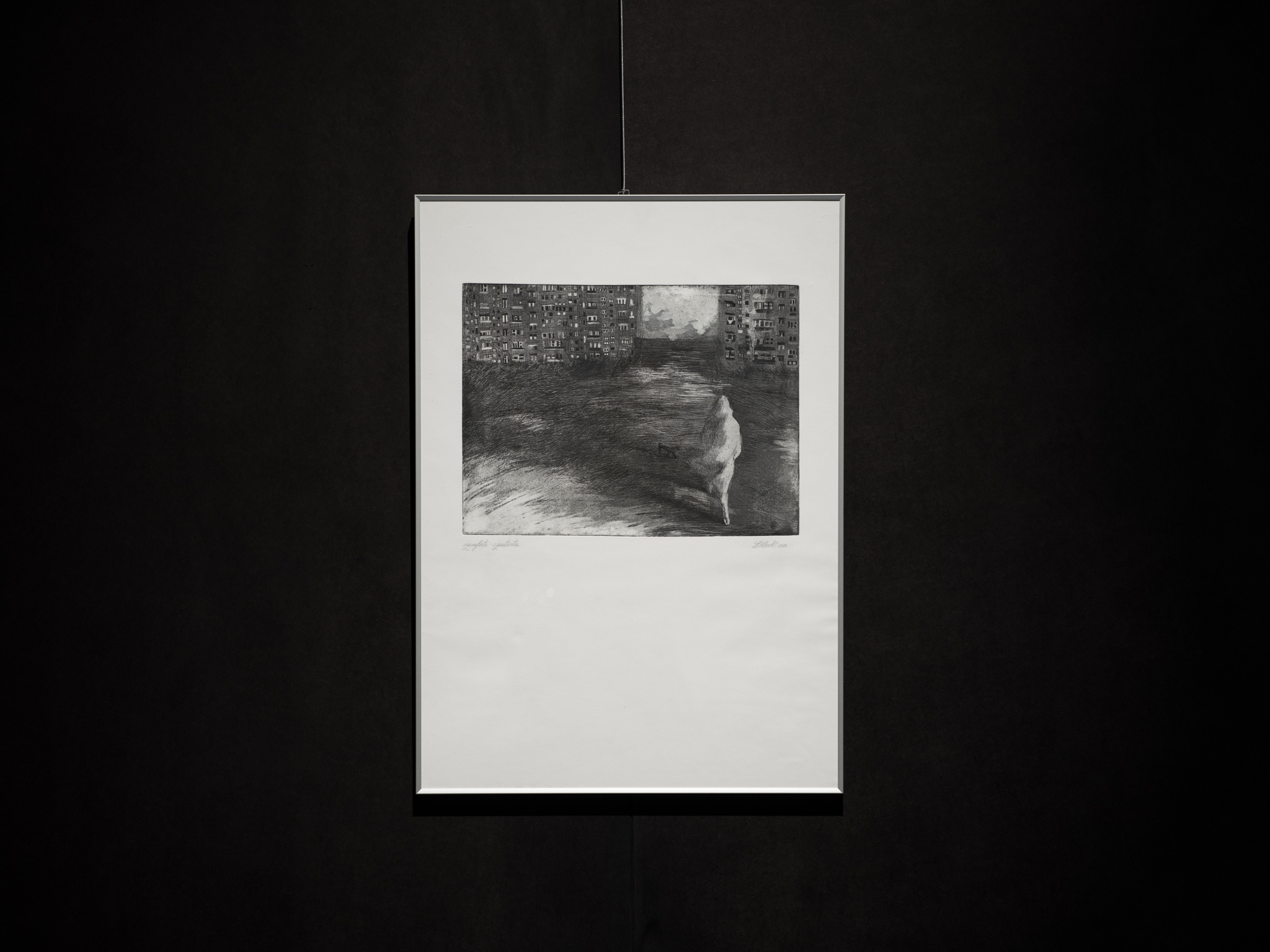 Featured image for “B0216634”