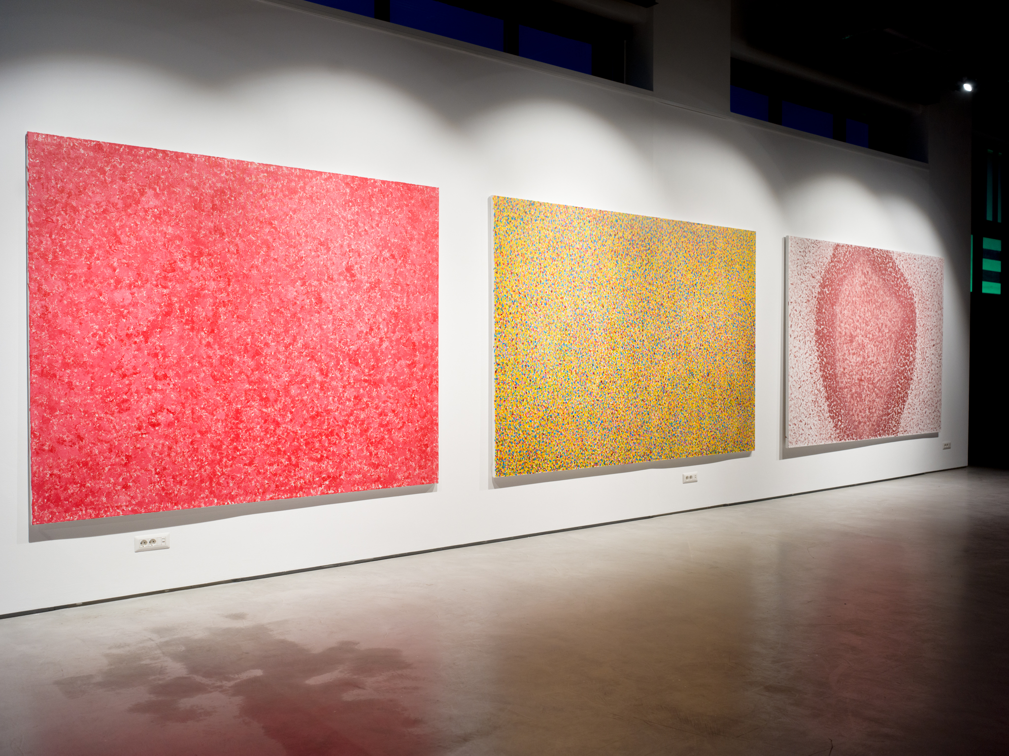 Featured image for “B0216655”