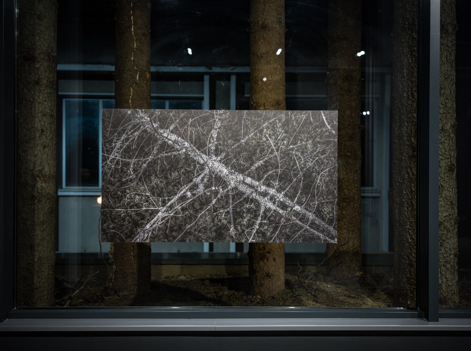 Featured image for “We Are Just Scratching The Surface – Still 4”