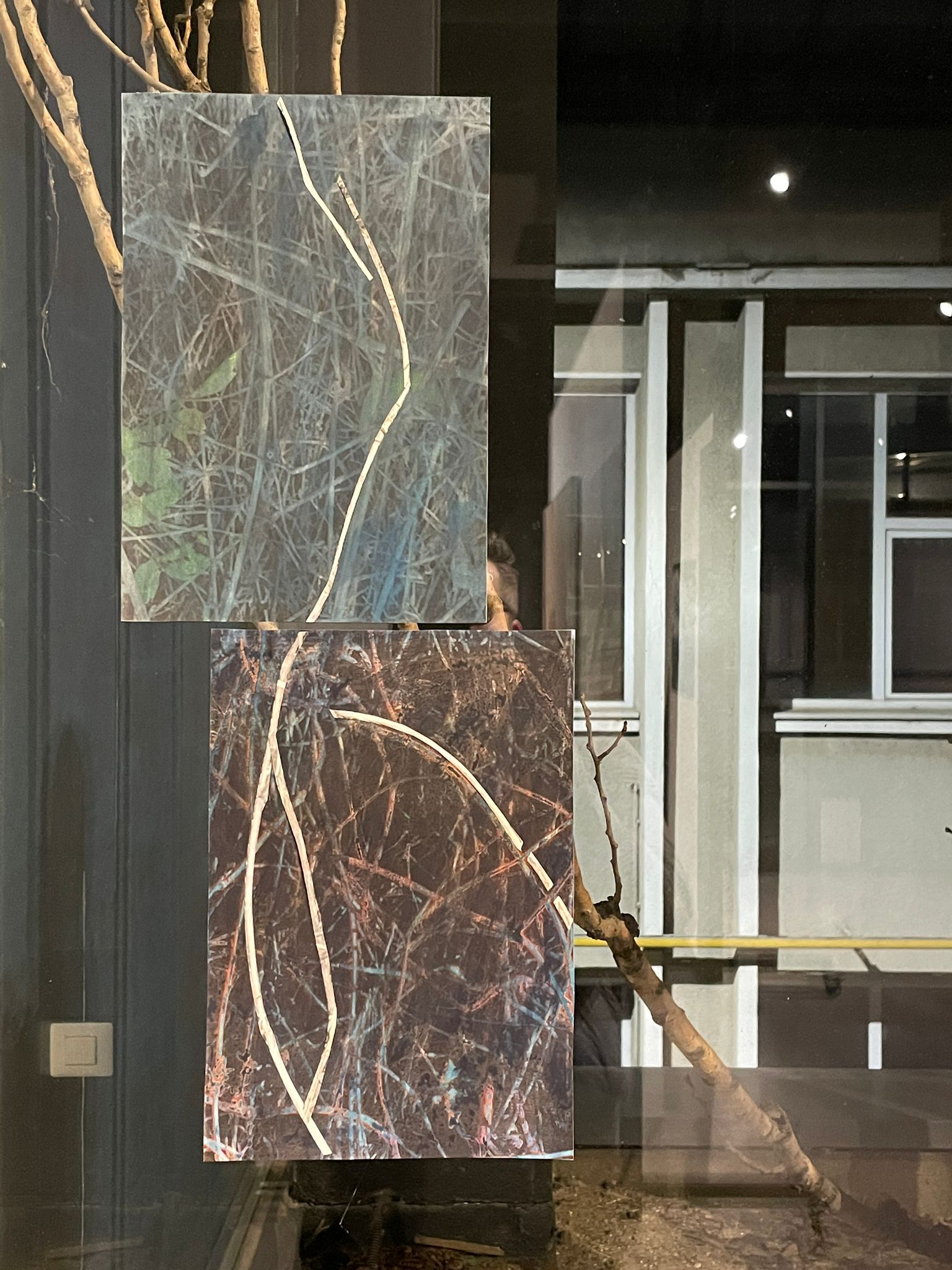 Featured image for “Dana Constantin – Untitled”