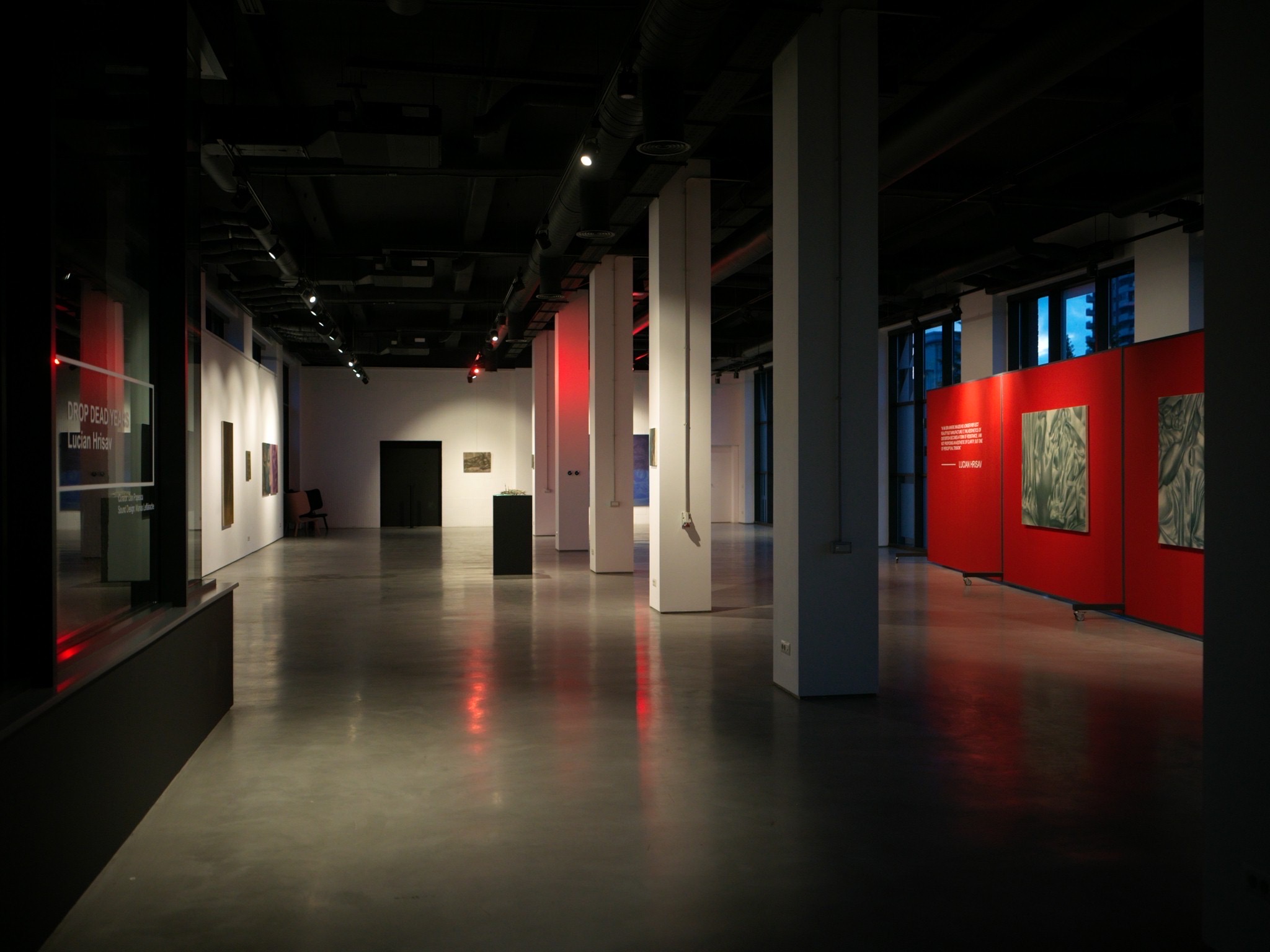 Drop Dead Years (Contemporary Art Show)