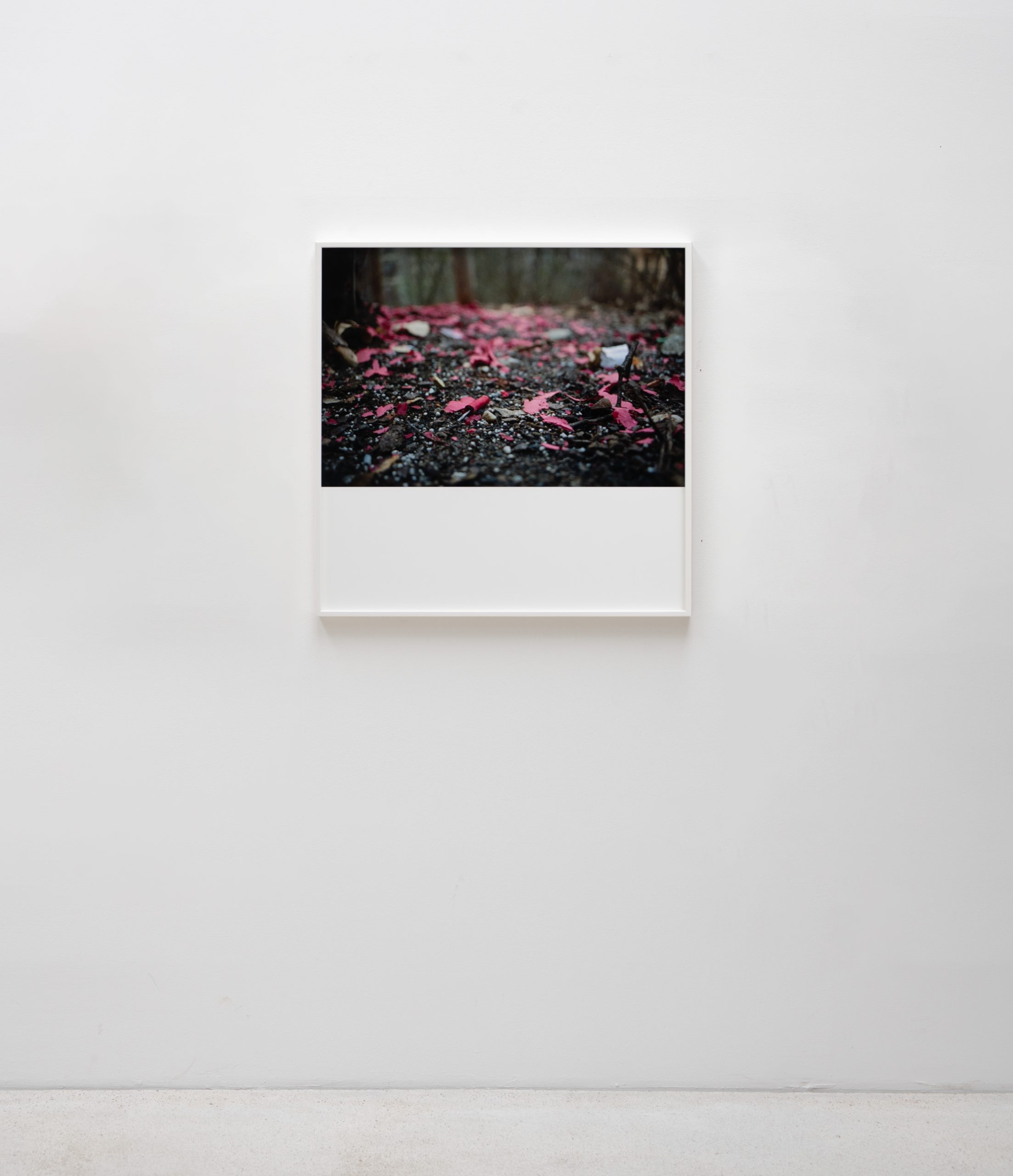 Christian Jankowski – Finding 8