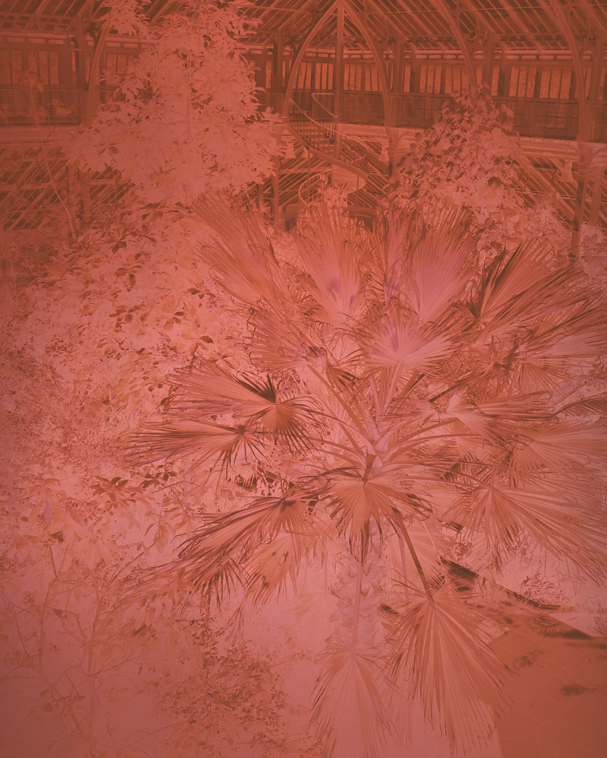 I Still Wonder (Contemporary Art Show)