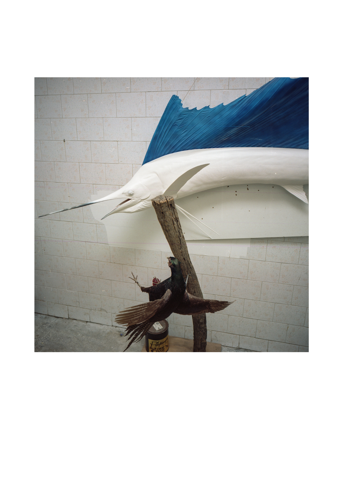 We won't return to normality (Contemporary Art Show)