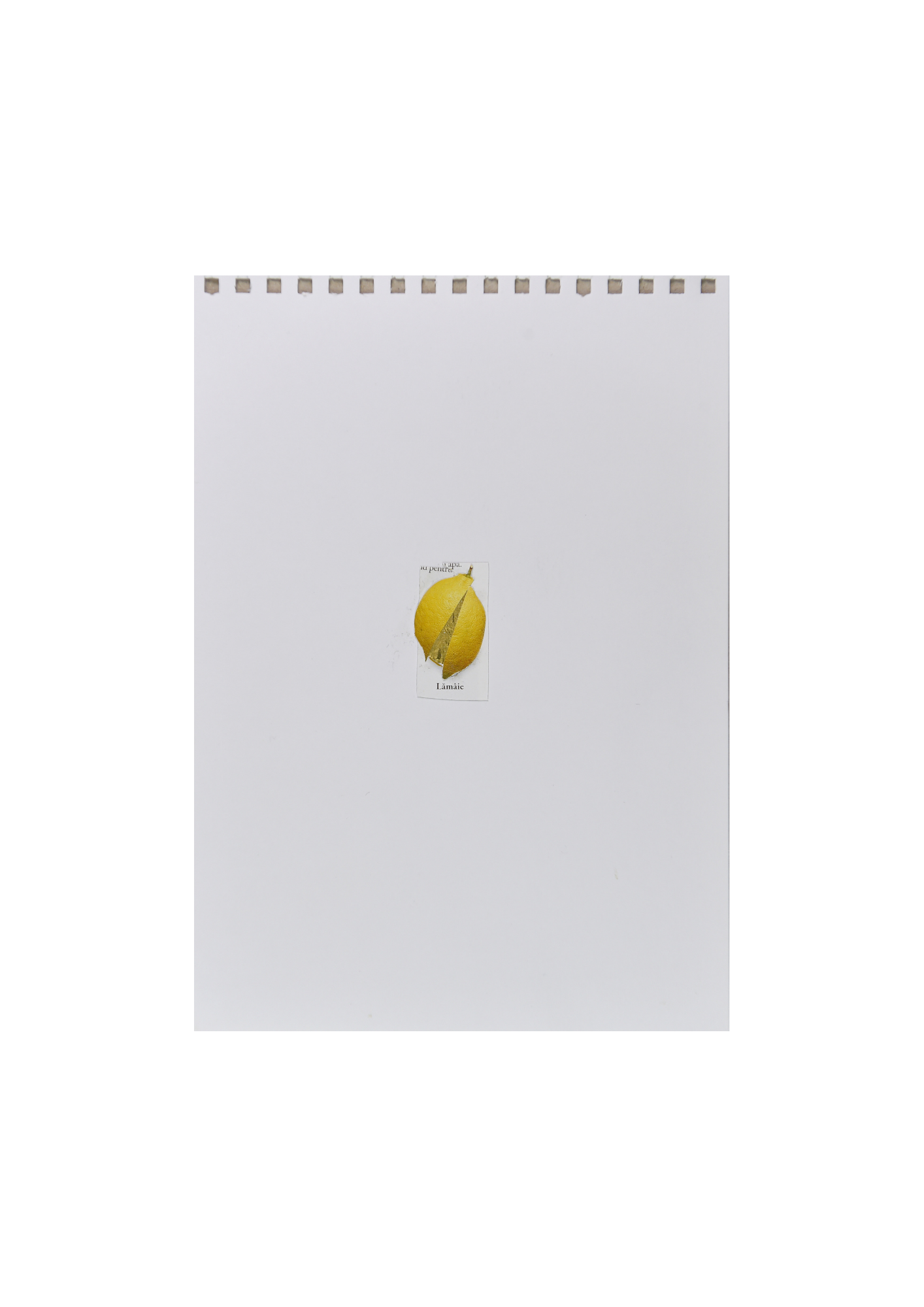 Featured image for “Andrei Argeșeanu – Lemon”