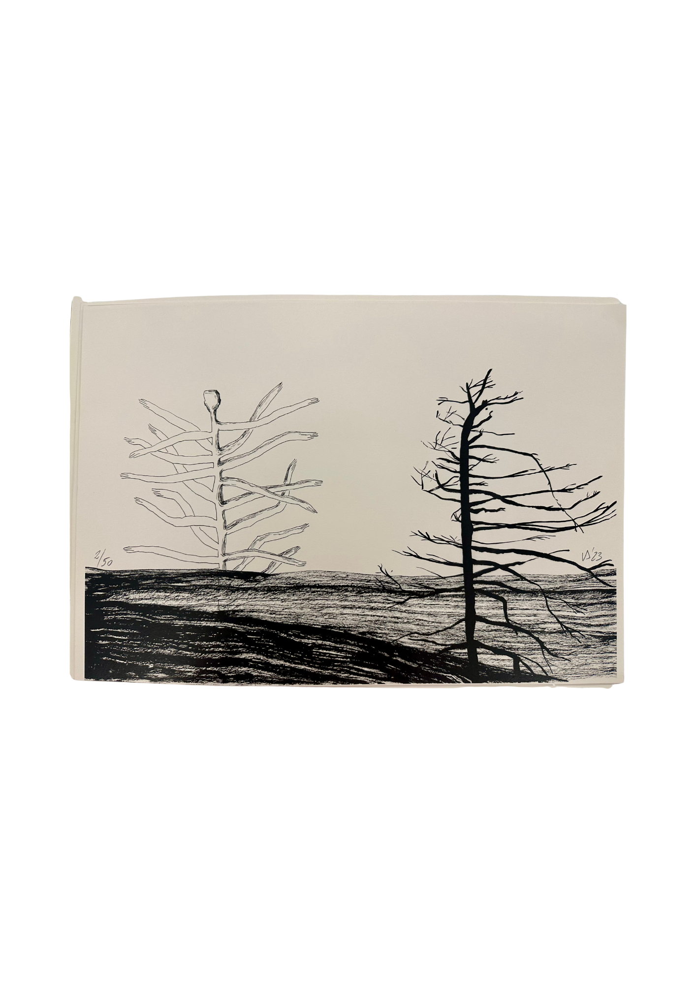 Featured image for “Diana Vasilescu – Blowing Wind”