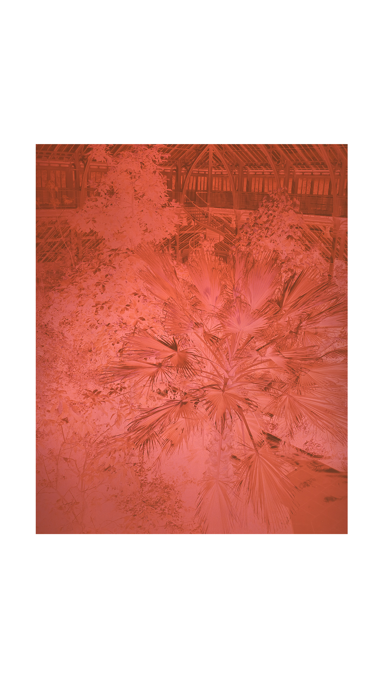 Featured image for “Lucian Bran – Thermscape 56C43”