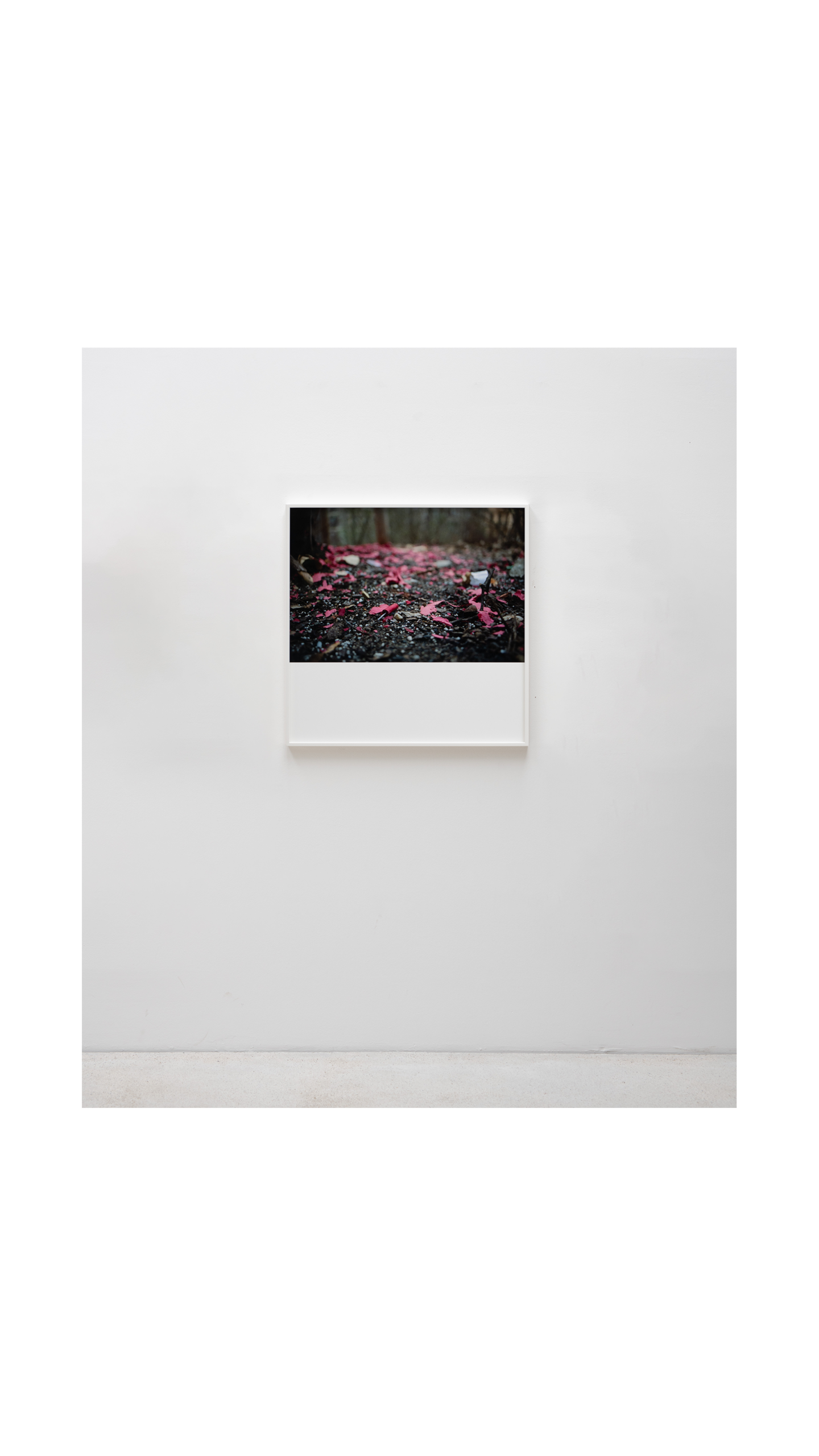 CHRISTIAN JANKOWSKI – Finding 8