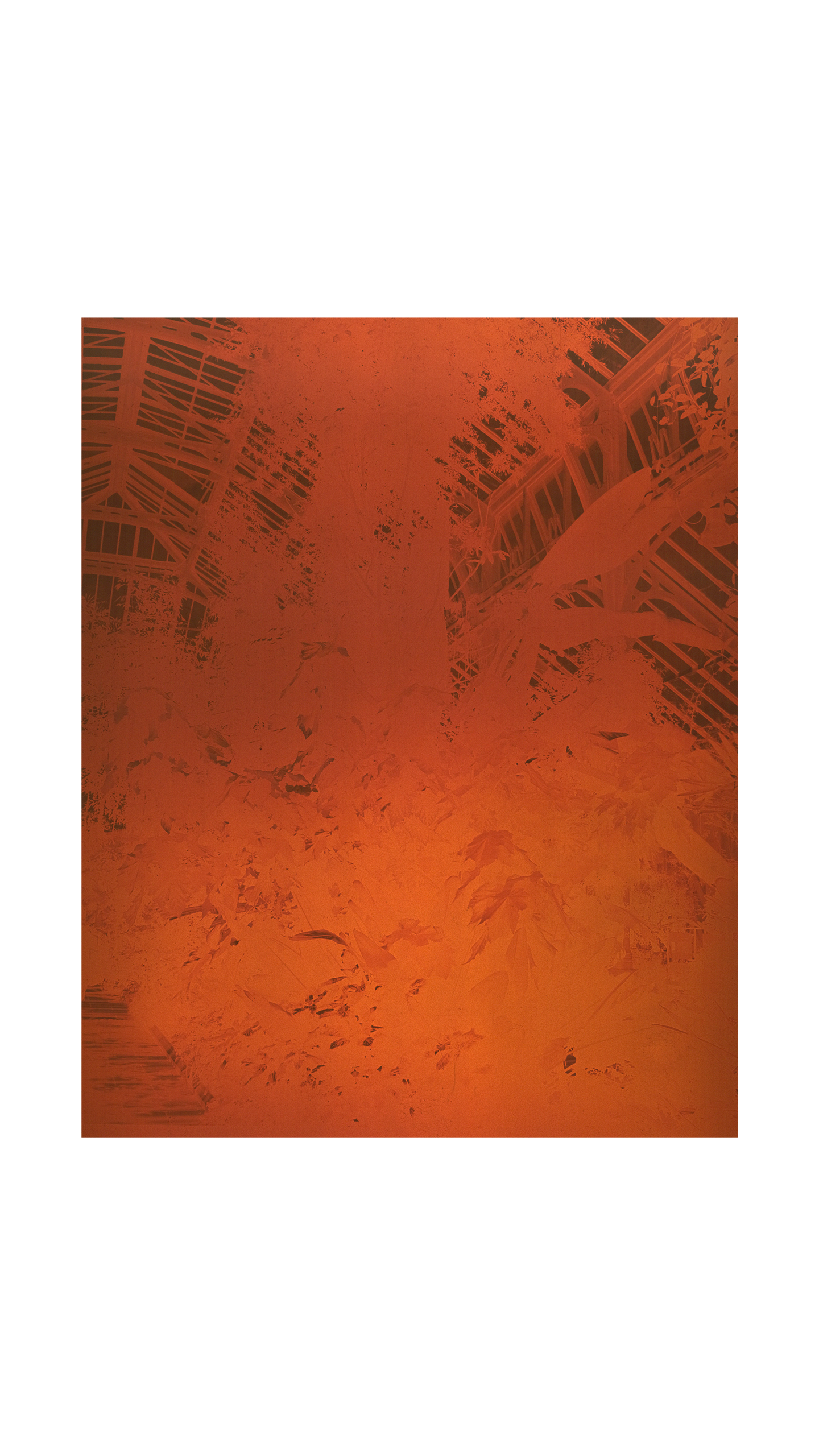 LUCIAN BRAN – Thermscape 56C41