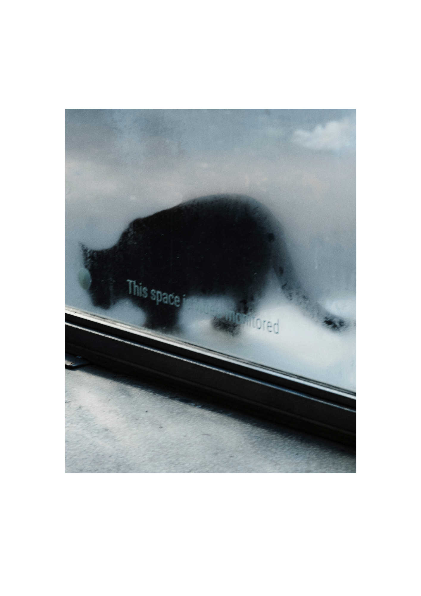 Featured image for “Raluca Mărgescu – The Space Inside Is Monitored”