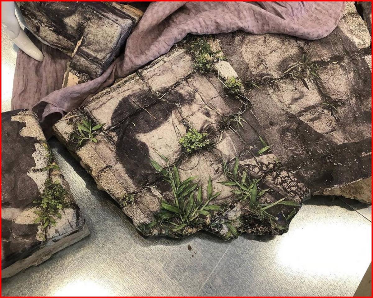 Featured image for “Ana-Alexe-12”