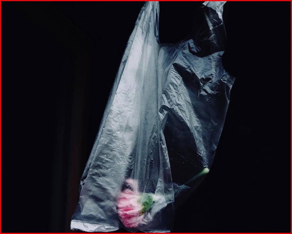 Featured image for “Ana-Alexe-6”