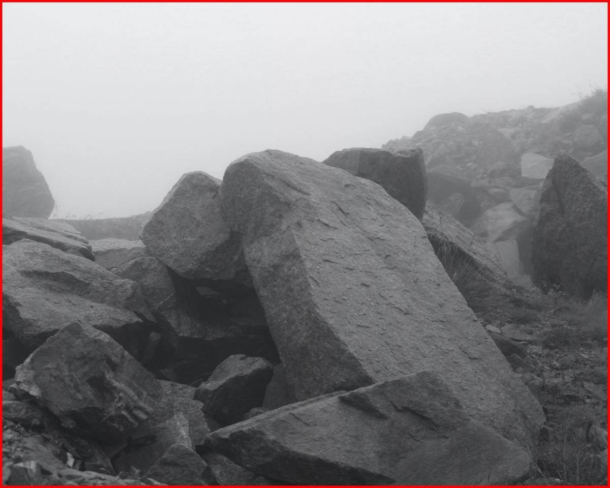 Featured image for “Anastasia-Dumitrescu-7”