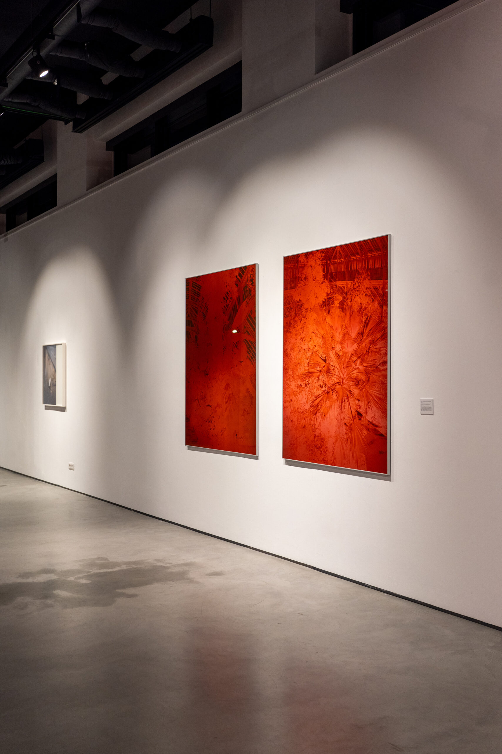 Featured image for “I Still Wonder – Still 18”