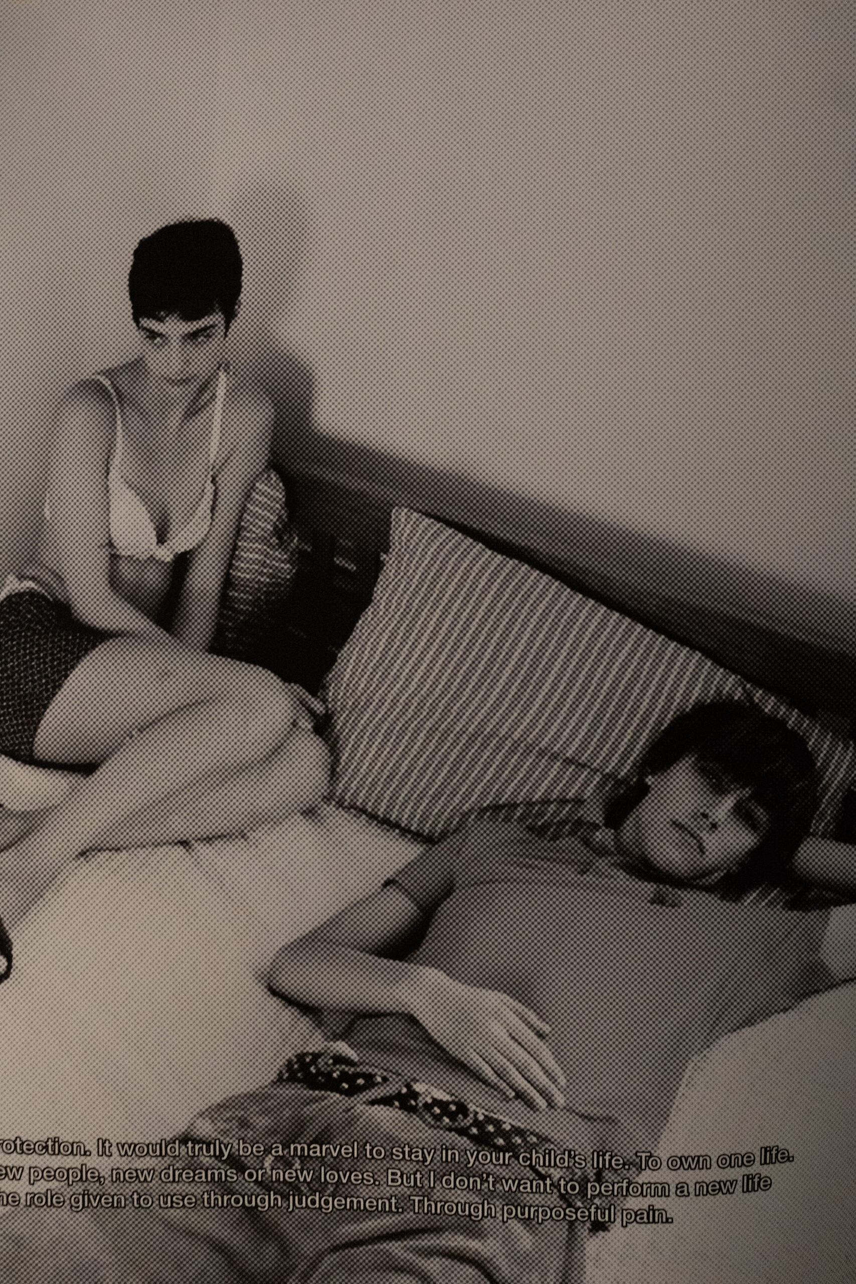 Featured image for “DSC04935”